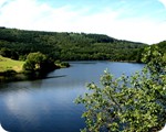 Blick auf den Rursee