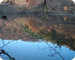 Wasserspieglung auf dem Obersee