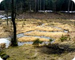 Nat�rlicher Bachverlauf im Nationalpark