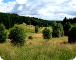 Perlenbach- Schwalmbachtal