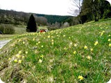 Herrliches Wandergebiet im Jgersief