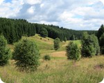 Perlenbach- Schwalmbachtal