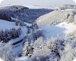 Blick auf das Perlenbachtal im Winter