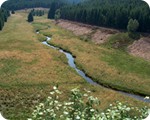 Herrlicher Ausblick auf den Perlenbach