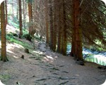 Uferwanderweg am Perlenbach 
- Weg von der Hfener Mhle zum Hollnderhuschen -