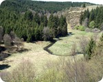 Blick von der Bieley - sdlich auf die Schwalm (Perlenbach)