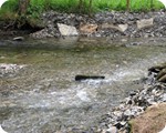 Zusammenfluss vom Fuhrtsbach in den Perlenbach
Baumassnahmen im Rahmen des Projekts Lebendige Bche in der Eifel
