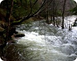 Hochwasser Januar 2011