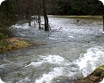 Hochwasser Januar 2011