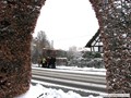 geführte Wandergruppe auf dem Höfener Heckenweg - auch im Winter sehr reizvoll -