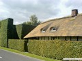 Reetgedecktes Eifelhaus mit Schutzhecke
