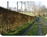 Wandern auf dem Hfener Heckenweg zu den Flurhecken